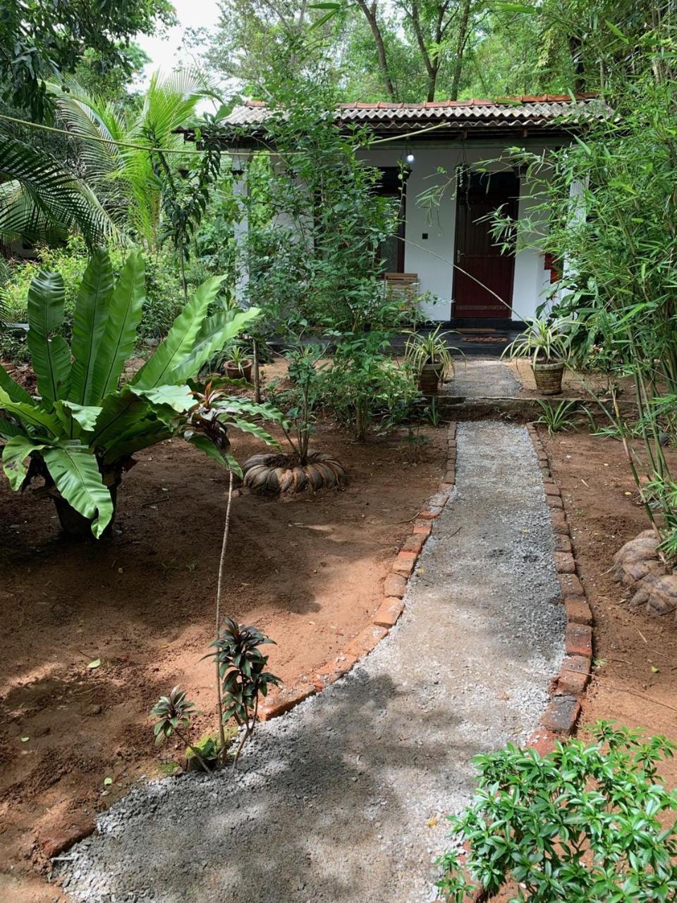 Manju Homestay Σιγκιρίγια Εξωτερικό φωτογραφία
