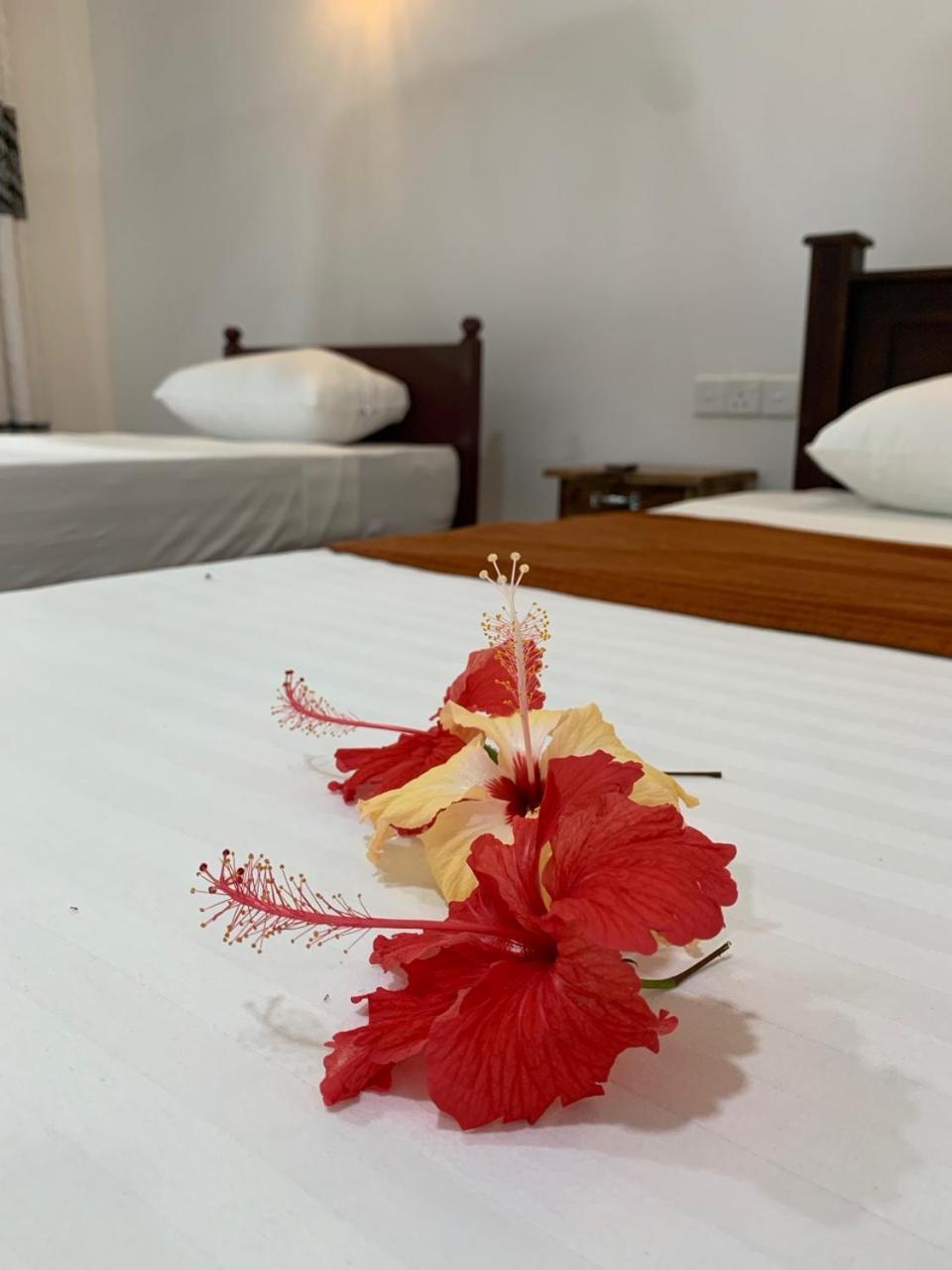Manju Homestay Σιγκιρίγια Εξωτερικό φωτογραφία